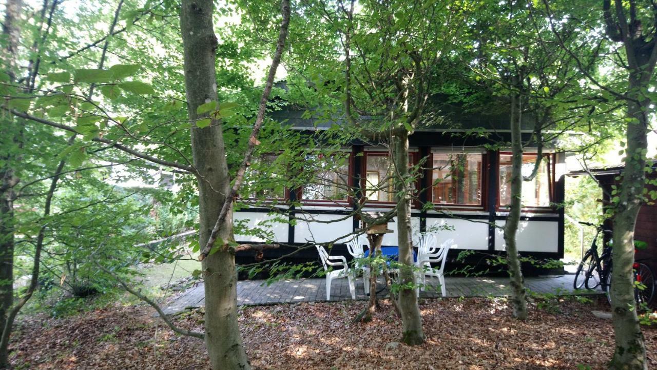 Ferienhaus Eifelpur Ahrdorf Ngoại thất bức ảnh